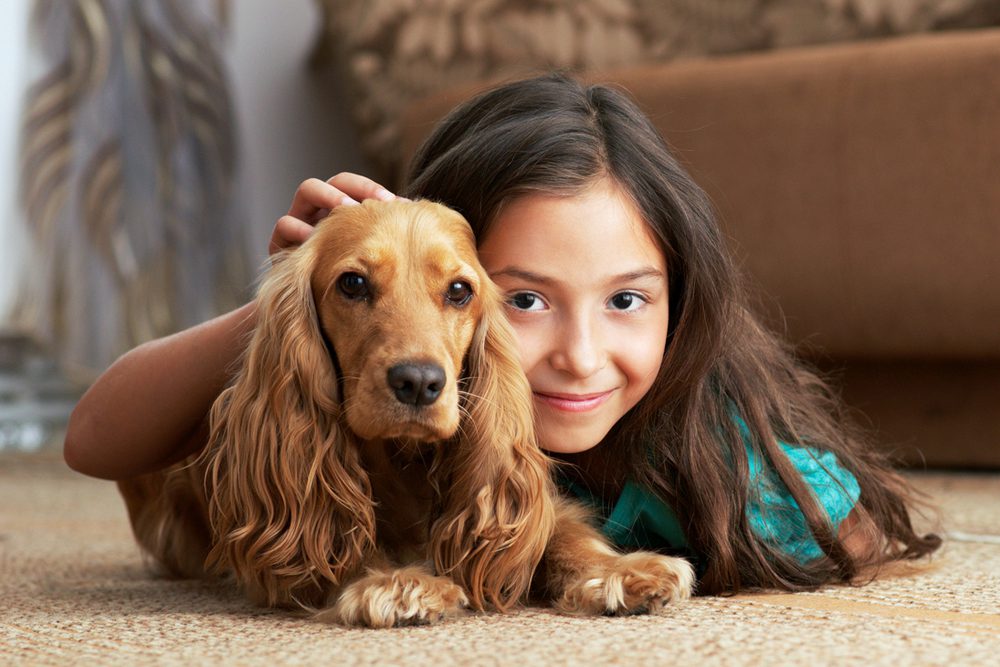 Cocker Spaniel with Child