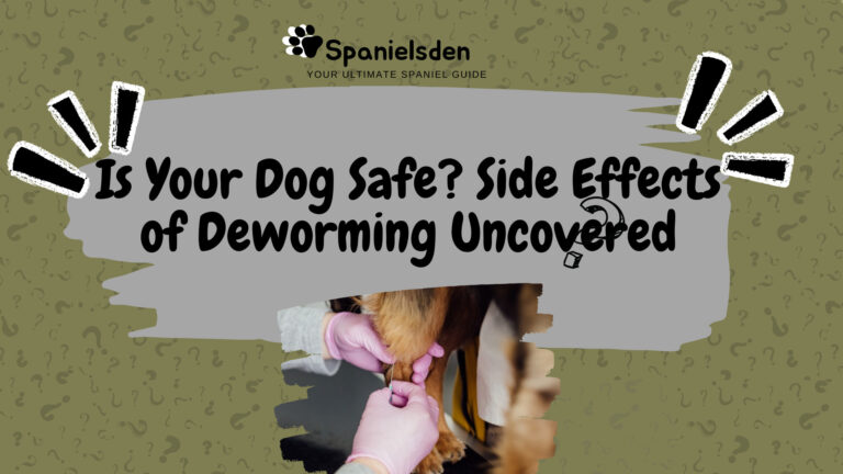 Hidden Side Effects of Deworming Your Dog You Must Know!