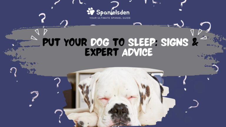 Knowing When to Put Your Dog to Sleep: Signs & Expert Advice